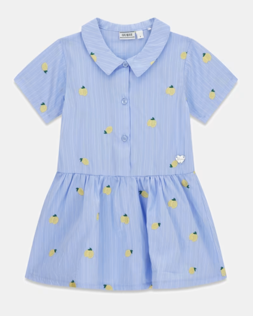 Sukienka koszulowa haftowana